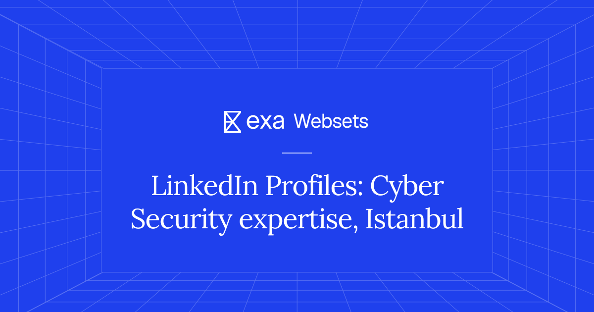 5 LinkedIn Profiles: Cyber Security expertise, Istanbul | Exa Websets